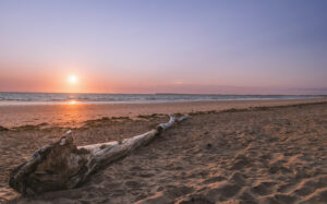 dsc 0075 avec accentuation bruit 2