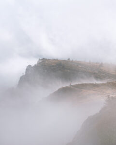 dsc 0188 avec accentuation bruit