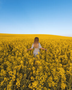 dsc 1484 avec accentuation bruit