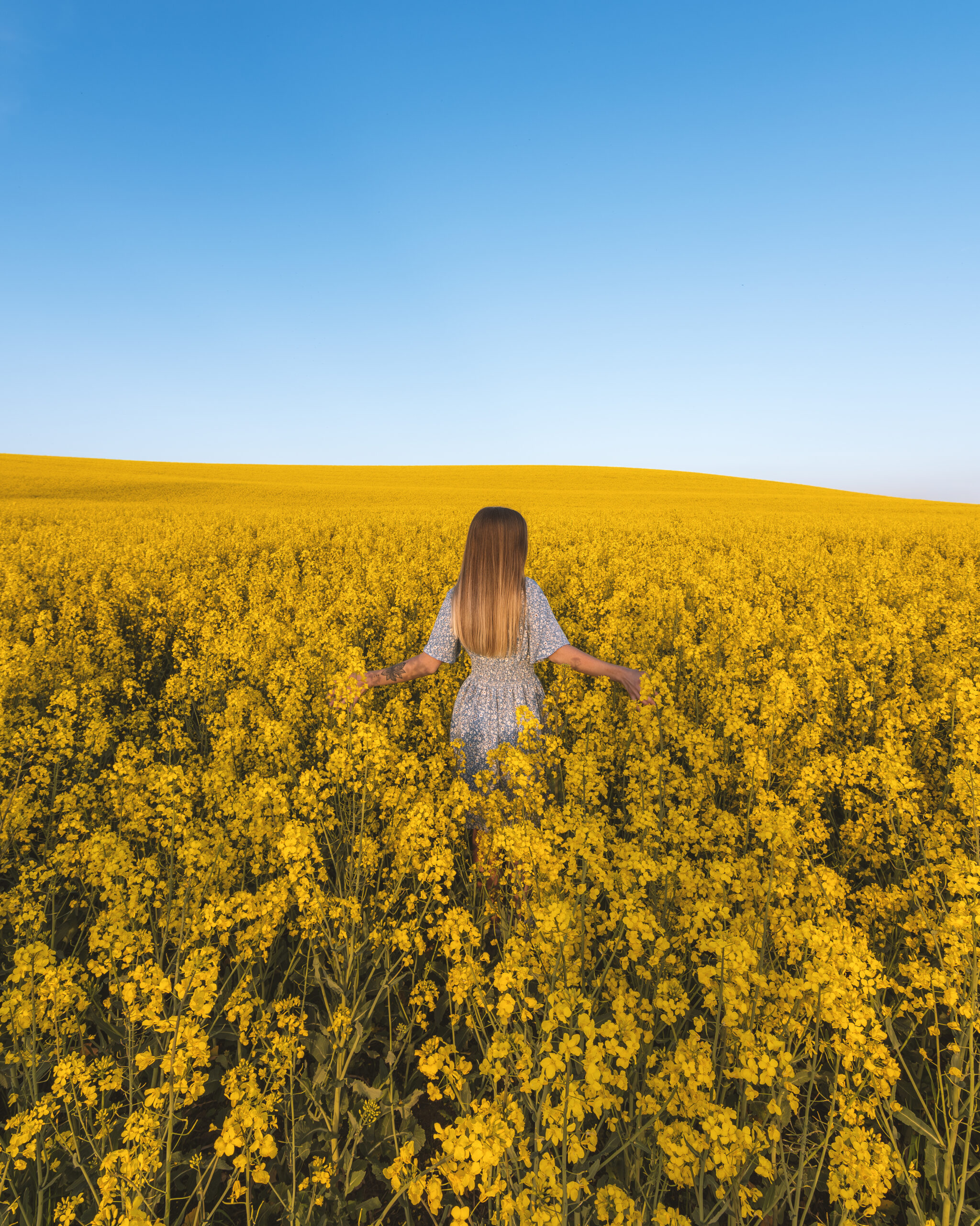 dsc 1484 avec accentuation bruit