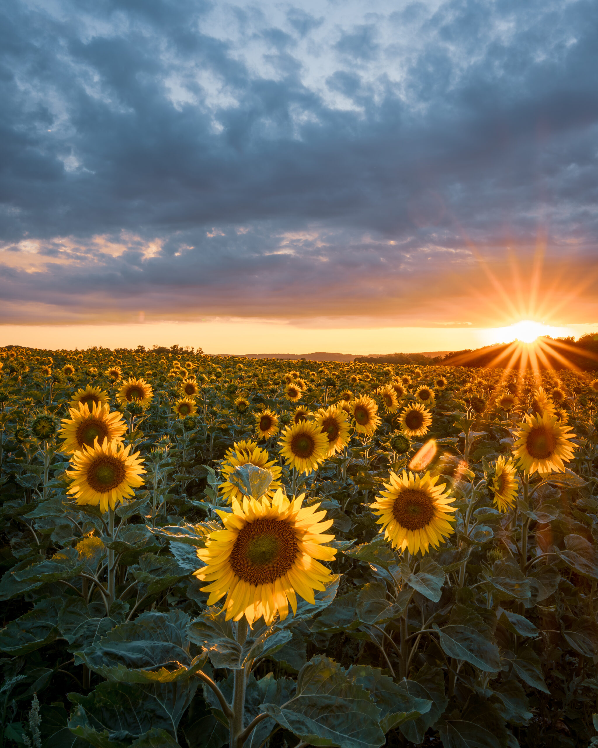 Accueil dsc 2121 avec accentuation bruit