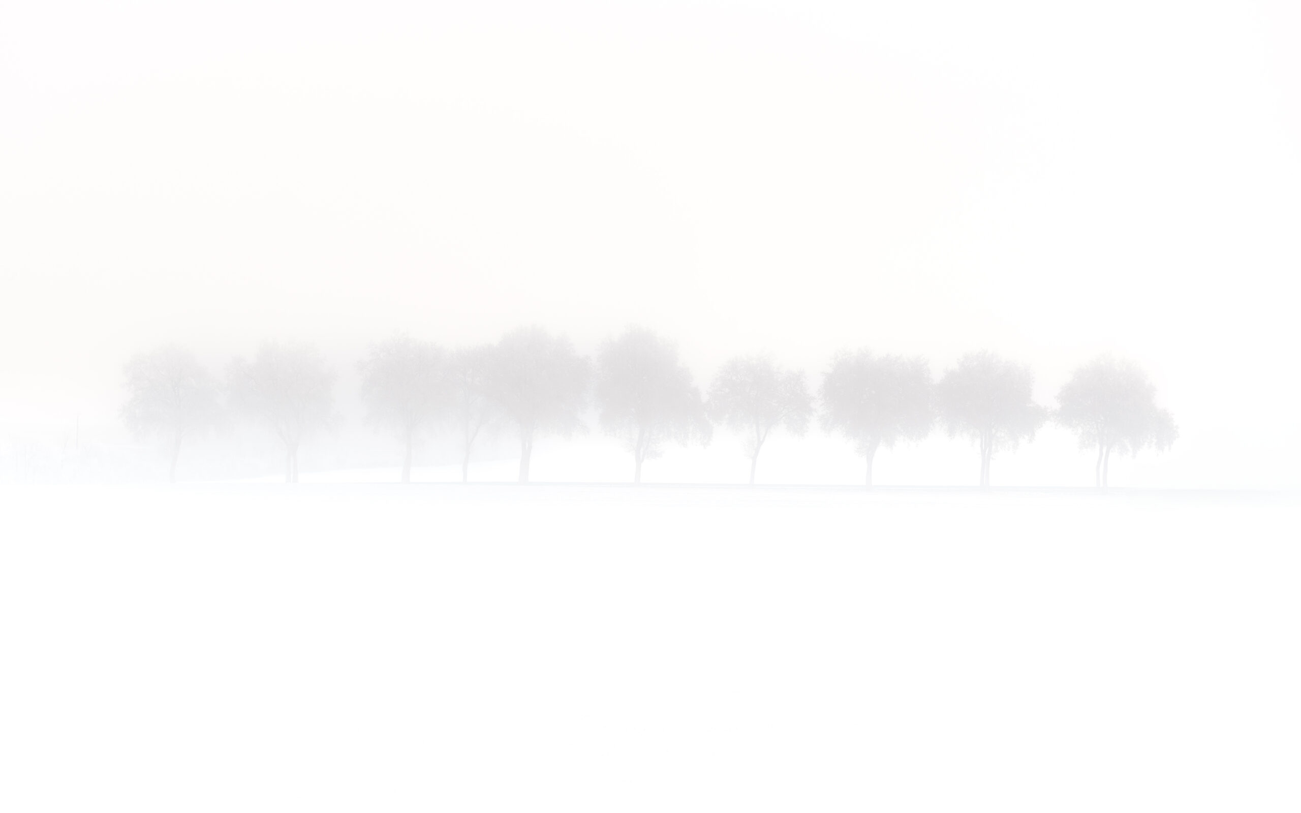 dsc 4043 avec accentuation bruit modifier 4