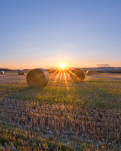 dsc 6139 avec accentuation bruit