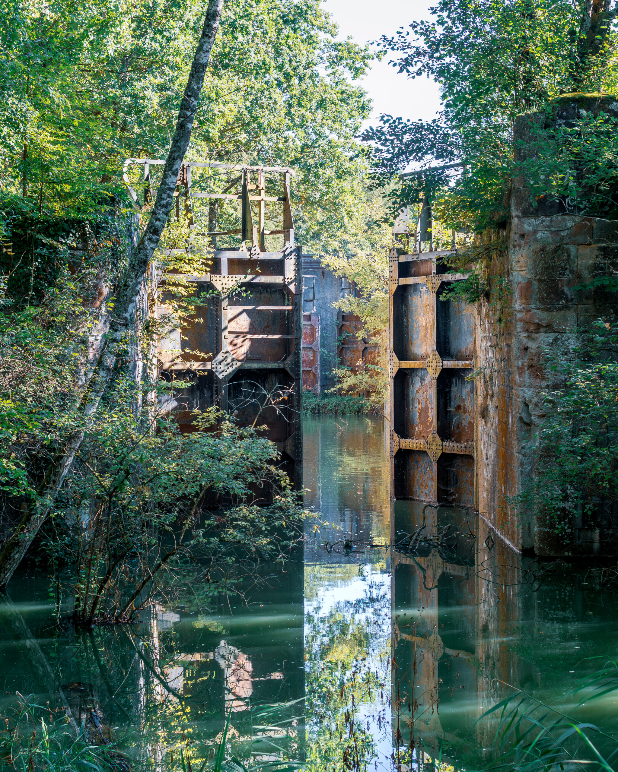 dsc 6678 avec accentuation bruit