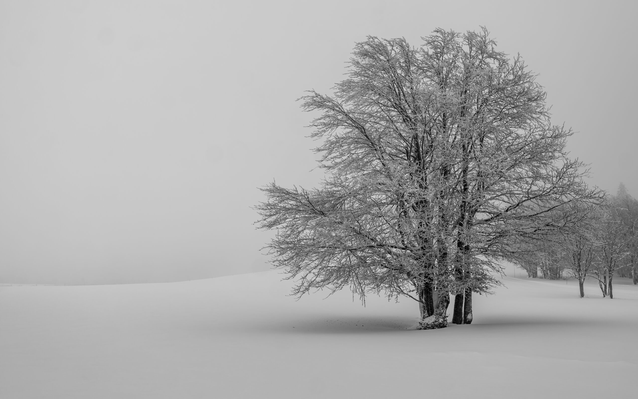 dsc 7064 avec accentuation bruit