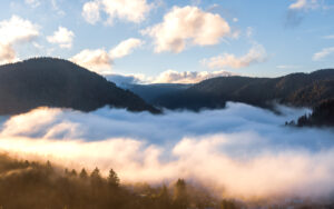 dsc 7579 avec accentuation bruit