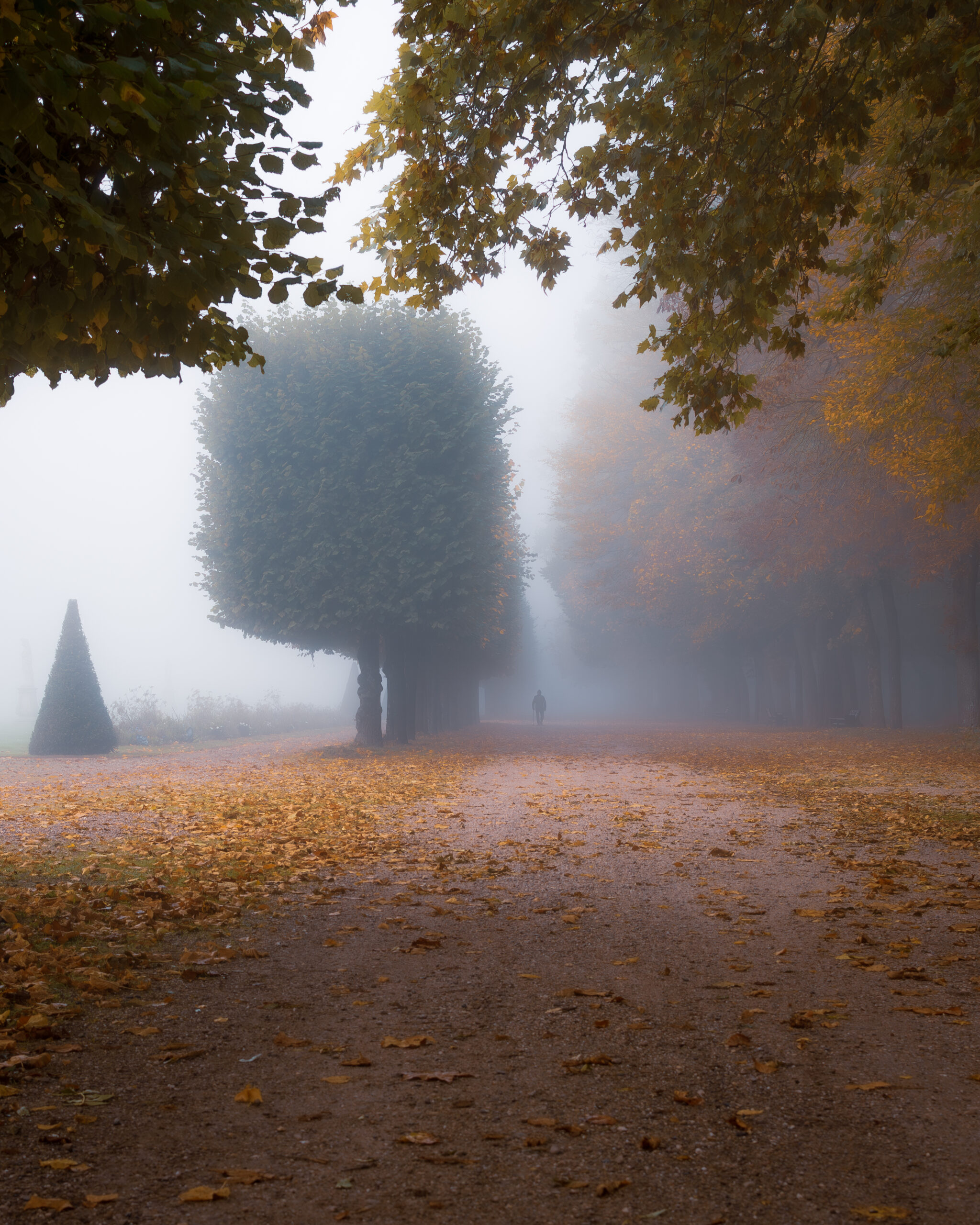 dsc 7694 avec accentuation bruit