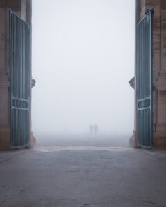 dsc 7717 avec accentuation bruit