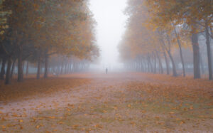 dsc 7770 avec accentuation bruit