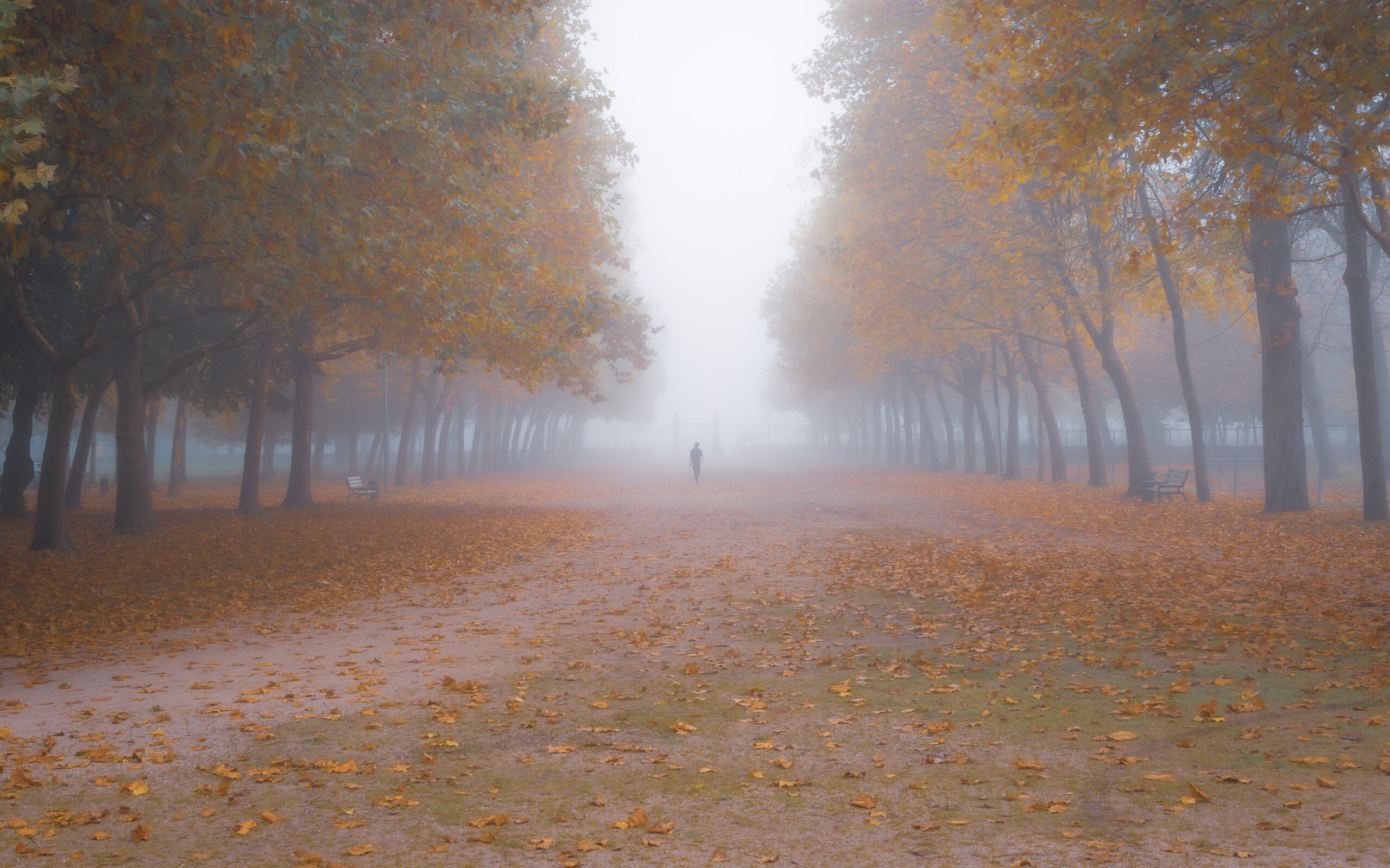 dsc 7770 avec accentuation bruit