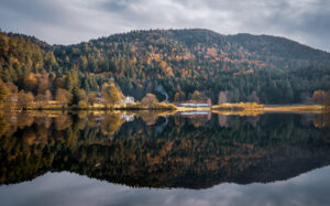 dsc 7785 avec accentuation bruit