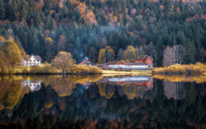 dsc 7796 avec accentuation bruit