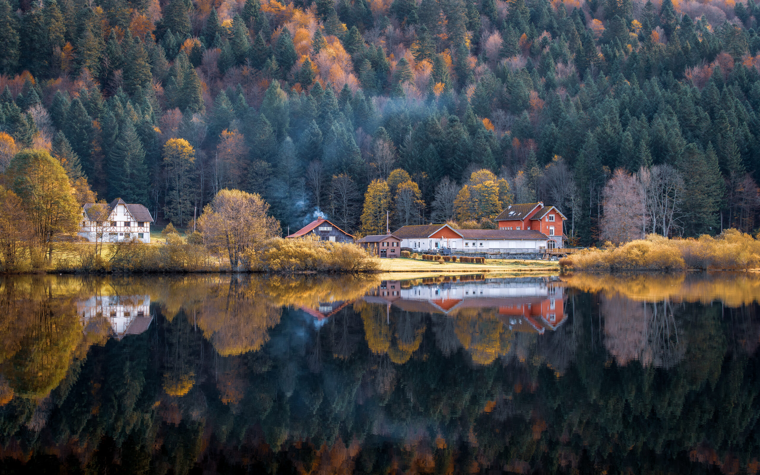 dsc 7796 avec accentuation bruit