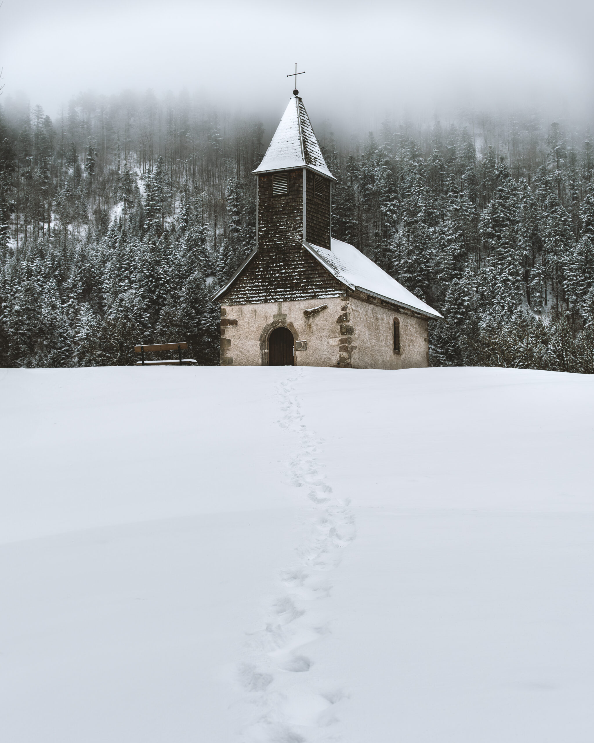 dsc 7835 avec accentuation bruit